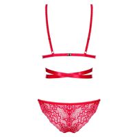 Obsessive Lovlea conjunto de dos piezas con sujetador y braguita