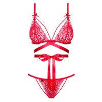 Obsessive Lovlea conjunto de dos piezas con sujetador y braguita