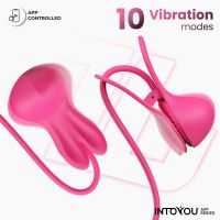 IntoYou Tickly pinzas para pezones con vibración y mando, imagen 2