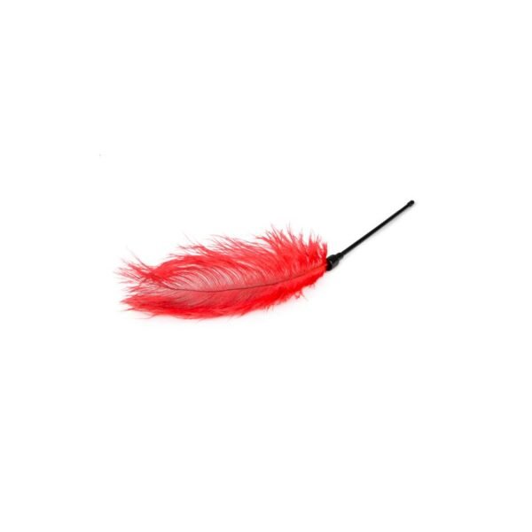 Plumero Rojo - Imagen 2