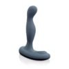 Sir Richards ELEMENT PM Masturbador Vibrador Prostático