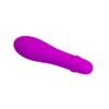 Estimulador Solomon Purpura - Imagen 2